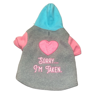 small dog grey hooded sweatshirt